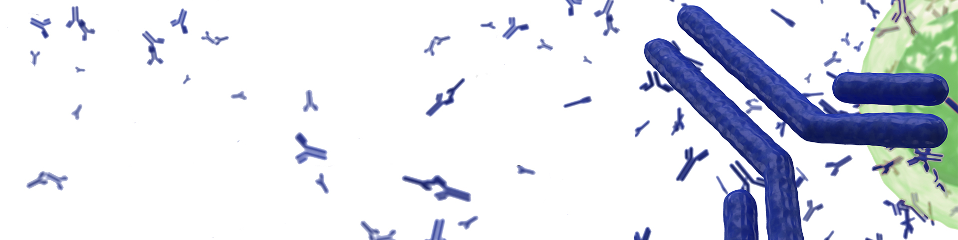 Quality-Assistance-Scientific Library Antibodies