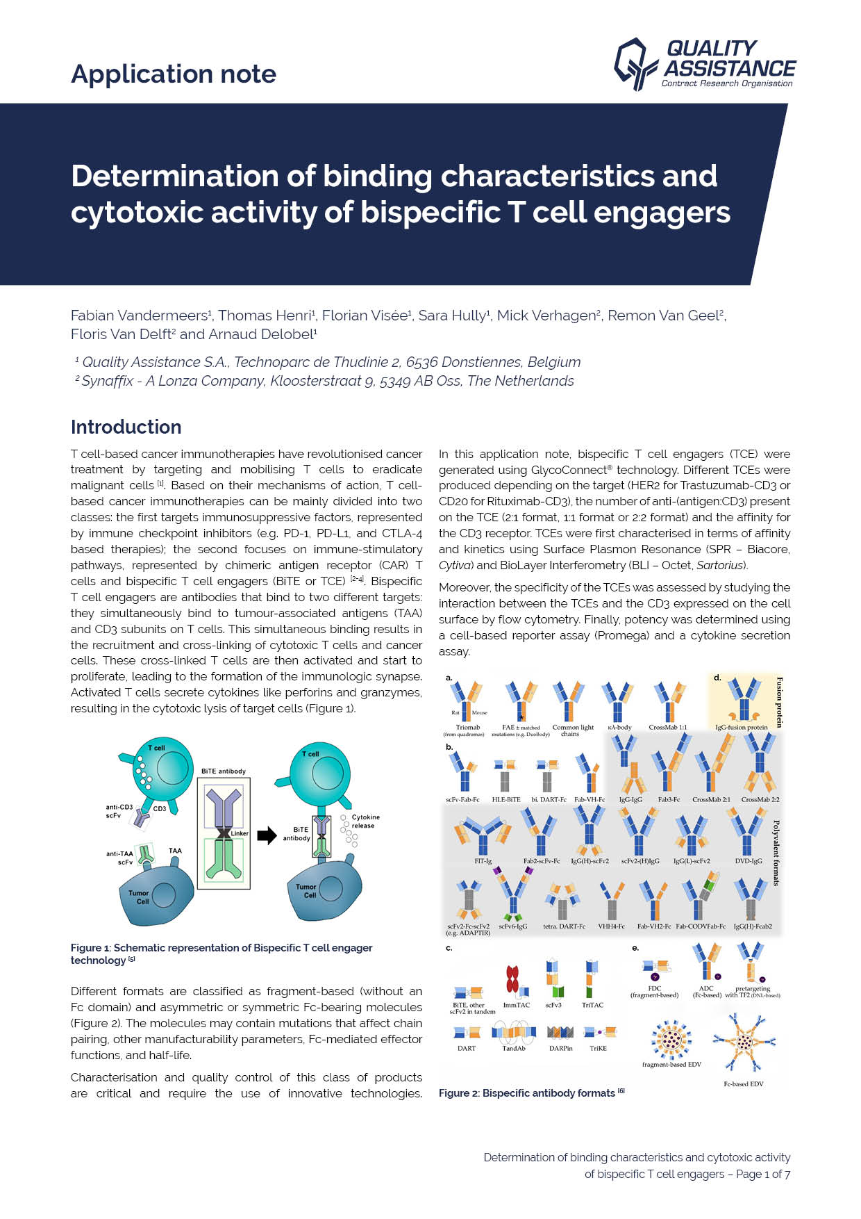 Determination binding characteristics and citotoxic activitiy bispecific T cell_Synaffix_QA